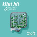 Breath + Gut Mints For Gut Healthy by NUDE - Spearmint — gallery image 6