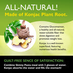 Skinny Pasta Konjac Pasta - 9.52 oz, Fettuccine