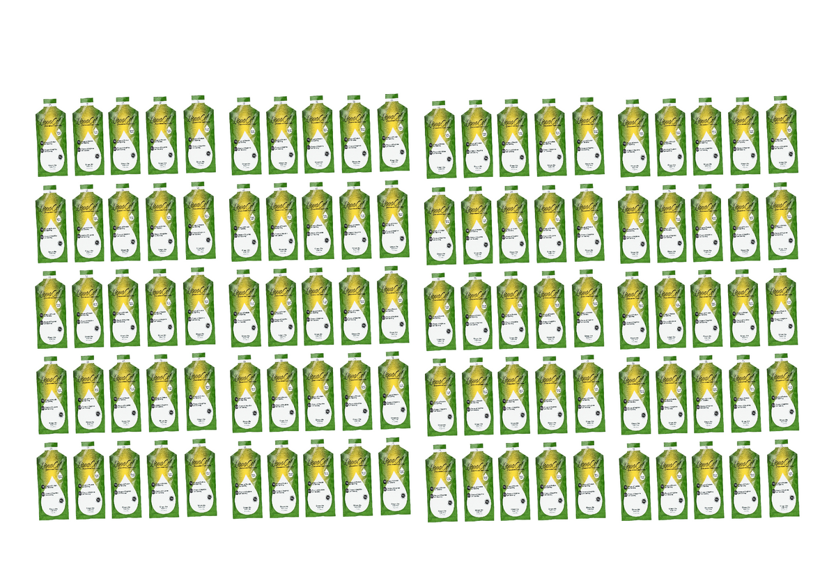 LiquaCel Liquid Protein Packets - Ginger Ale 100-Pack (Case)